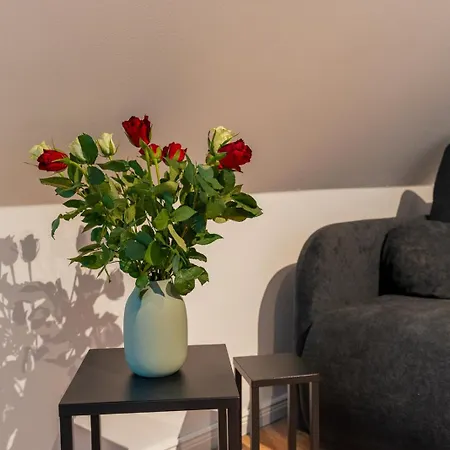 דירה Muenster Loft No 2