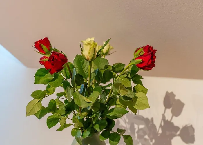 Muenster Loft No 2 Uberlingen